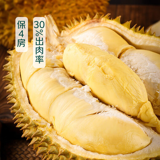 
[4-bedroom meat] Grade A imported golden pillow fresh durian 1 pill 2-2.5kg (M)