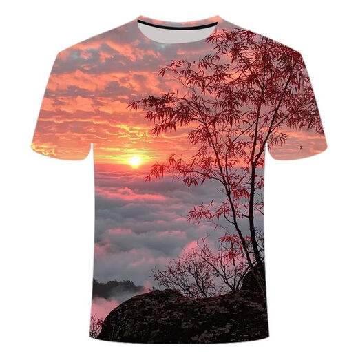 Il Jiagong Sunrise 3D T-shirt imprimé 2025 Nouvelle série Fashion Fashion Teenager Décolletery Clain à manches courtes TTW1423 S pour le poids 80-90Jin [Jin est égal à 0,5 kg]