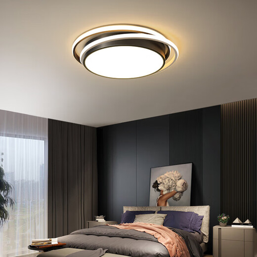 Lámpara de techo de Opudakochi sala de estar Guangdong Zhongshan Lámpara de techo de la sala de estar moderna lámpara de balcón de estudio simple de balcón nuevo estilo 9215 aromático 50 cm negro extremo