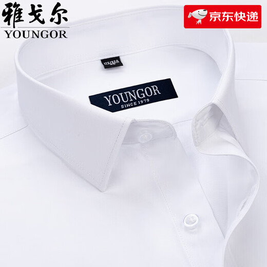 雅戈尔旗舰官方店男士短袖衬衫夏季商务休闲职业装抗皱免烫中年条纹衬衣 DX6623 38 建议【100-120斤】