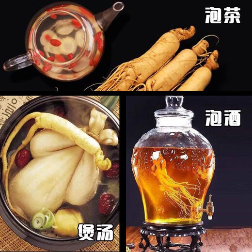 Fresh Ginseng, SC Food Grade, Ginseng, Fresh Ginseng, Changbaishan Specialties, Brei, Suppe, Tee und Wein, ein ganzes Stück etwa 3G*1 -Tasche (neues Kunden Wohlbefinden)