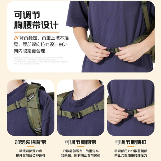 Haustier-Trolley, Maine-Coon-Katzentasche, große Kapazität, Rucksack, Katzentasche, tragbarer Haustier-Rucksack für den Außenbereich, kleiner Hund, Welpen-Tasche, grüner Trolley