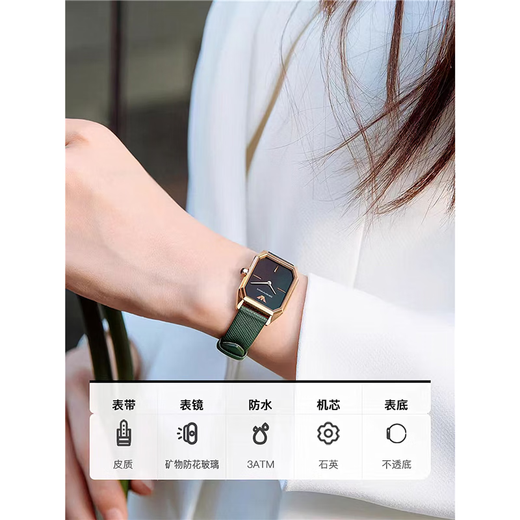 Armani Armani Women's Fashion Fashion Inslay Belt Fritillaria Quartz Small Green Watch Square Tendencia A149 AR11148
