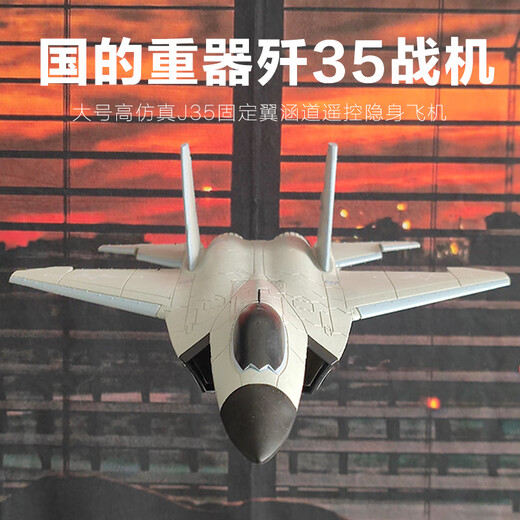 Tema Tongtong remote control fighter J-20 model aircraft model aircraft can fly fixed-wing aircraft toy children boy birthday gift 12 minutes - large J-35 four-way stunt 31 models
