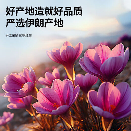 北京同仁堂（520送女朋友礼物）藏红花抗氧化西藏红花泡水调经缓解疼痛 [送女友]藏红花罐装 正宗藏红花1罐抗氧化
