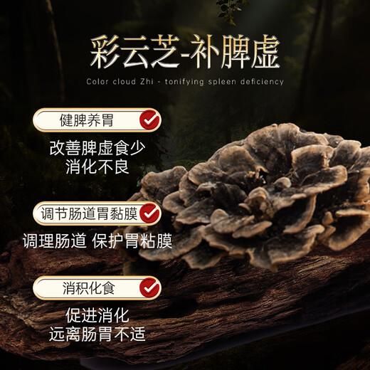 WILAKON/维乐康破壁灵芝孢子粉胶囊增强免疫力术后放化疗中老年人营养品90粒/盒