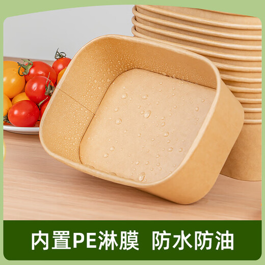 Temeiju disposable lunch box kraft paper thickened biodegradable packing box with lid picnic box camping tableware 20 sets 500 type