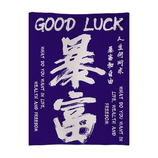何佳功打卡户外露营氛围感装饰布卧室餐厅背景布墙布毛笔字挂布 4877-喜乐02 四角打孔90高*60宽厘米+送绳子