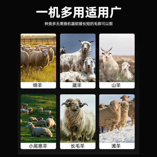 DINGNAI high-power wired dog wool shear electric clipper high-power shaver pet hair pusher wool electric clipper silver pet clipper 36V plug-in