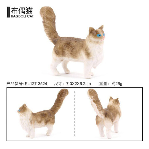 Shantoulin Village Children's Toy's Simulation Modèle Animal MinI Cat Ragdoll Cat Trois chat Cat sans cheveux Éducation précoce