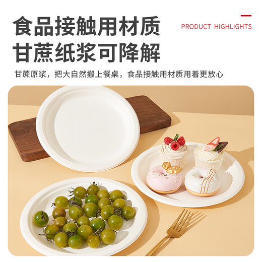 Fresh Life Disposable Dinner Plate Food Grade Medium Deep Dish Dinner Plate Camping Tableware Sugar Cane Pulp Biodegradable Large Paper Plate 20 pcs