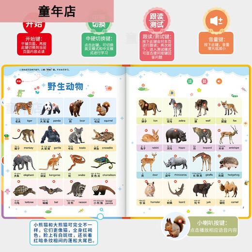 乐乐鱼儿童早教03-6充电中英文电子书识点读学习机宝宝拼音有声读物 识字大王3900字-50面-充电款