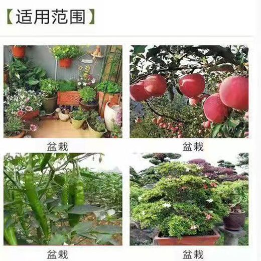 Agricultural granular compound fertilizer, superphosphate fertilizer, general purpose planting for fruits and vegetables, rooting, strengthening seedlings, regulating soil, 5 Jin Jin is equal to 0.5 kg, granular superphosphate self-sealing package