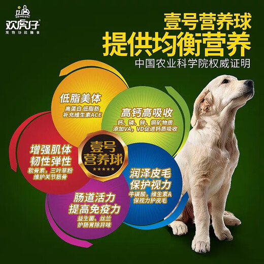 Huan Yue Huan Tiger Dog Food 20kg Puppy 40 Jin Jin is equal to 0.5 kg 10 Jin Jin is equal to 0.5 kg Adult Dog Food Teddy Pomeranian Satsuma Chow Chow Universal Adult Dog Food 5kg Event Price 0lb Guaranteed