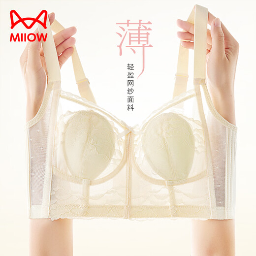 Les gros seins de chat montrent de petits seins pour les femmes, des sous-vêtements pour les femmes, un style mince d'été, un rassemblement, des seins latéraux, une affaissement, un beau soutien-gorge d'oreille de lapin, ultra mince