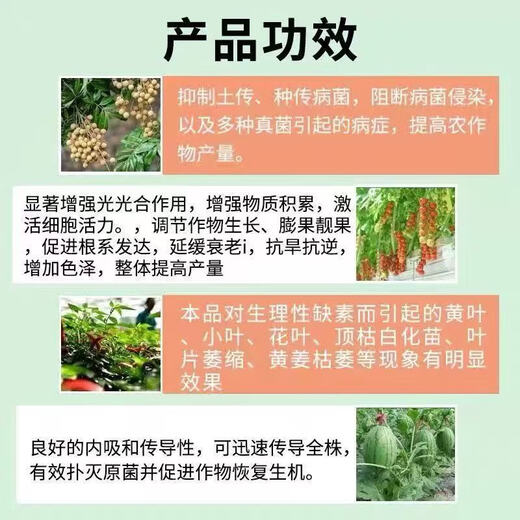 Soil bacteria clear agricultural genuine soil-borne diseases special rapid disinfection and sterilization anti-repeat microbial fertilizer 1 bag not effective