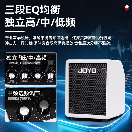 JOYO Electric Bass Speaker BA-30 Portable Electric Bass Speaker OTG Live Recording Bluetooth Play and Sing Bass Speaker SF BA-30 White + Cable + Gift