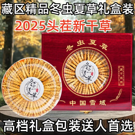 Boîte-cadeau CordyCeps 2025 Premier chaume nouveau Cordyceps séché sélectionné Cordyceps authentique garanti de l'expédition le même jour. Les plus beaux cordyceps du Tibet 4 pièces 1 gramme 30 pièces