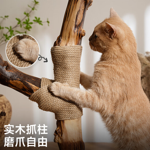 Beast brand tree house cat climbing frame large cat tree cat nest integrated solid wood cat scratching post small apartment cat shelf luxury cat house warm winter tree house丨 toy set