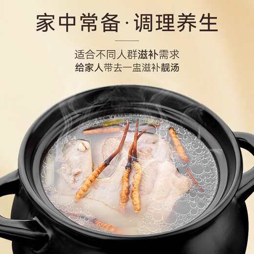 东阳光冬虫夏草2-3根/g50g约125根虫草高端礼盒营养品补品送长辈父母