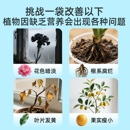 Dewoduo organic fertilizer fermented soybean meal flower fertilizer potted plant universal flower special cake fertilizer 2.6Jin Jin equal to 0.5kg