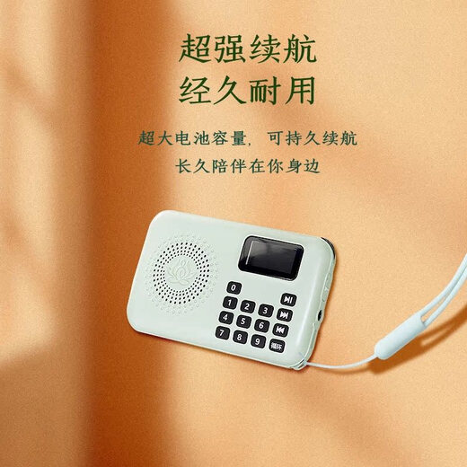 Shanyuan 916 MINI SMALT-PLAY CARDE PLAGE PLATER Song Player Music Machine haute définition Sound Quality Screen Chinese Display Screen (1396 pièces contenant une carte 16G)