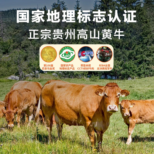 Amazingly Fresh Domestic Guizhou Alpine Ox Raw Cut Beef Brisket 2Jin Jin is equal to 0.5kg Frozen Whole Beef Hot Pot BBQ Straight from the Source