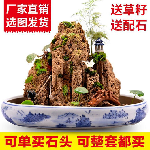 Water-absorbing stone Natural water-absorbing stone bonsai original stone Water-absorbing stone rockery stone flowing water fountain fish tank stone landscaping stone installation Only buy stones (free grass seeds with stones) 10-14cm water-absorbing stone