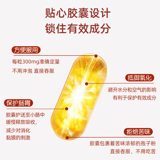 哈药破壁灵芝孢子粉胶囊 增强免疫力成人中老年送长辈营养品 2瓶装【效期到26年2月】