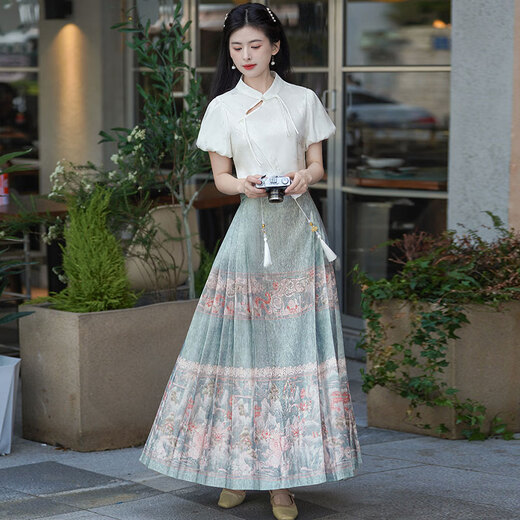 迪贯汉服中国风女成年高端套装夏新中式改良古装百褶马面裙的搭配上衣 12173绿色印花马面裙 L