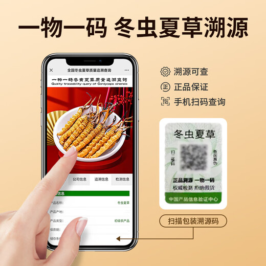 同芙 冬虫夏草2根/g 10g 20根礼盒装 滋补营养补品送长辈礼品礼物