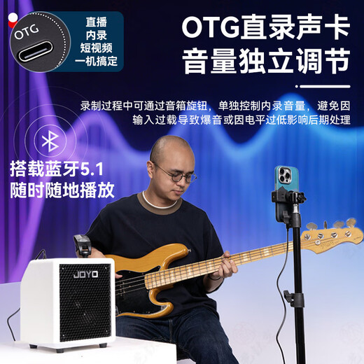 JOYO Electric Bass Speaker BA-30 Portable Electric Bass Speaker OTG Live Recording Bluetooth Play and Sing Bass Speaker SF BA-30 White + Cable + Gift