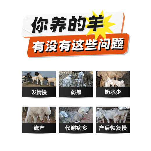 Yingmaier breeding ewe premix lambing multi-pregnancy lactation ewe feed milk multi-Yingmaier premix ewe premix 20kg (lamb Duowang)