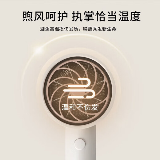 Philips Hair Dryer Home High Power Hair Dryer Negative Ion Hair Care Birthday Gift for Girlfriend or Boyfriend Couple Birthday Gift Official Flagship Store Gift Pink Gold Tube BHD321/55