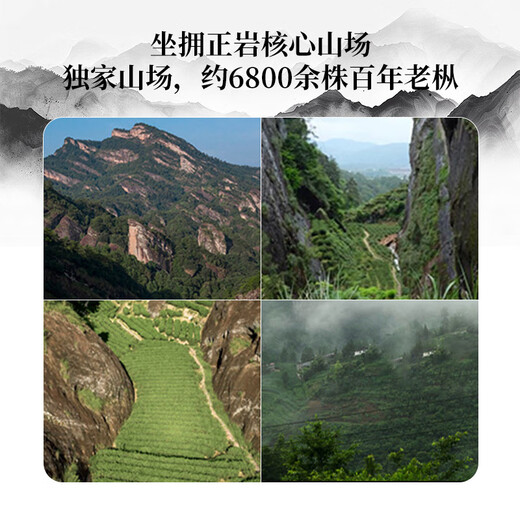 武夷瑞芳乌龙茶丹韵生心武夷岩茶大红袍一级150g礼盒装茶叶