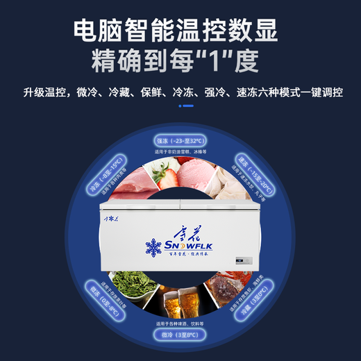 雪花冰柜商用大容量全冷冻家用卧式冷藏冷冻两用单温双温冷柜雪糕展示柜速冻柜 568双温ultra数显版|一级节能|减霜95%