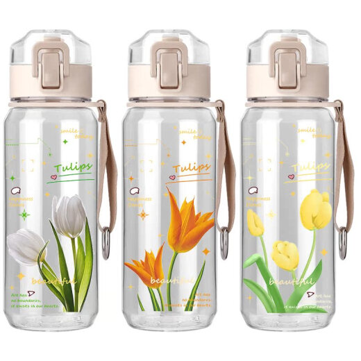 
Chengliu Tulip Direct Drinking Cup Literary Creative Simple Water Cup Sentimental Girls Style 530ml Portable High Temperature Resistance Plastic Direct Drinking Cup 530ml WT3294 Tulips