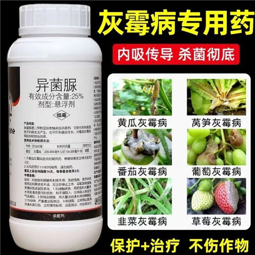 Special medicine for gray mold, iprodione fungicide, epidemic disease, cucumber, leek, tomato, strawberry, grape, fruit tree, gray mold pesticide 1000g