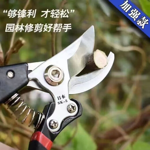 German imported steel shears, tree shears, fruit branches, household branch shears, flowers and trees, grape pruning pick ax pick ax grape shears, ultra-thin extra small u shears