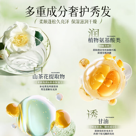 【山茶花香】山茶花洗发水去屑控油蓬松持久留香补水保湿大容量 水润 500ml 1瓶