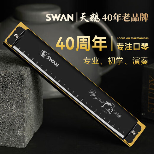Swan (Swan) harmonica 24 trous avancé adultes enfants étudiants débutants professionnels polyphoniques c