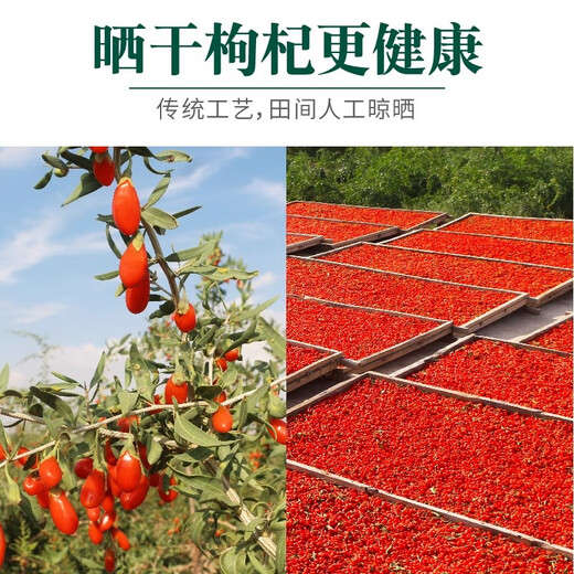 枸杞子宁夏特级500g正宗无染色红苟杞构纪茶无硫男肾干官方旗舰店 红枸杞袋装25g