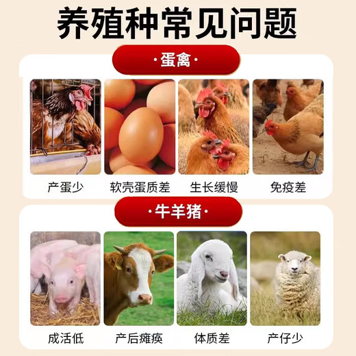 Chang Mu Veterinary Concentrated Cod Liver Oil for Pigs, Cattle, Sheep, Layers, Pigeons, Chickens, Ducks, Goose and Poultry Multi-dimensional Feed Additive Powder Vitamins 10 bags, total 20 Jin Jin is equal to 0.5 kg, higher content