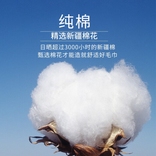 洗脸毛巾小号 纯棉小方巾 全棉女专用手帕抹布擦手巾速干纱布 大浴巾绿色单条装 浴巾1 14070条 1g 34X34CM
