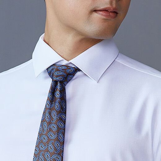 Camisa de manga larga joven Camisa blanca sin hierro Fabrica de algodón Anti-wrinking plano y fácil de cuidar el centro comercial del mismo estilo 41