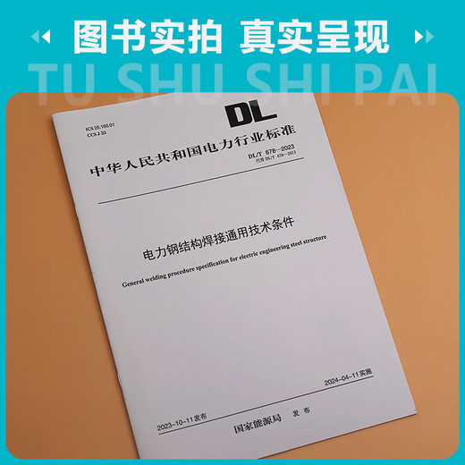 [Druck auf Demand] DL/T 678-2023 Allgemeine technische Bedingungen für Schweißstahlstahlkonstruktionen (Ersetzen Sie DL/T 678-2013)