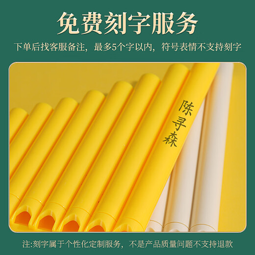 骊歌德国易学排笛 16管18管学生教学专用排箫初学者入门C调排笛乐器通 k305#16管米白色+刻字++终身质保