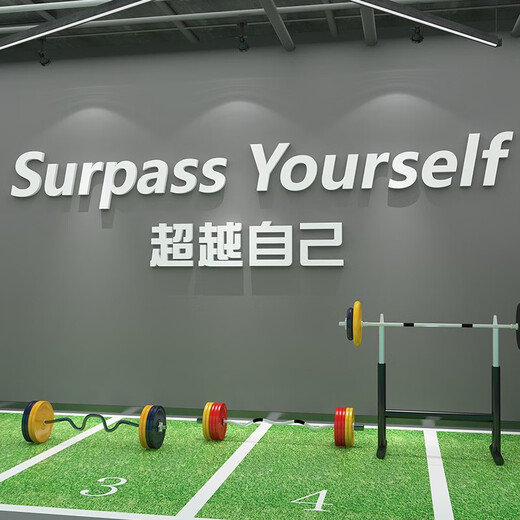网红打卡健身房墙面装饰运动文化励志标语海报氛围布置形象墙贴画 17152自己-黑色 2mm亚克力 超大