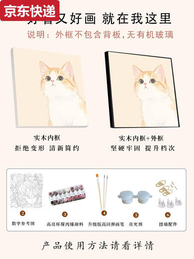 可爱卡通橘猫数字油画diy填充填色画手工丙烯涂色画画定制宠物画 X14715 全套内框材料包40*40cm