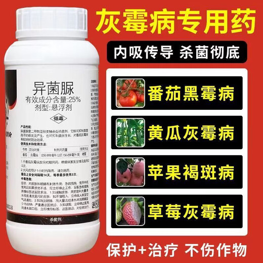 Special medicine for gray mold, iprodione fungicide, epidemic disease, cucumber, leek, tomato, strawberry, grape, fruit tree, gray mold pesticide 1000g